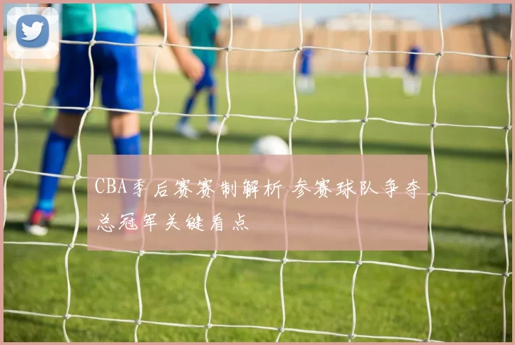 CBA季后赛赛制解析 参赛球队争夺总冠军关键看点
