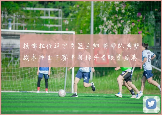 杨鸣担任辽宁男篮主帅 将带队调整战术冲击下赛季目标并着眼季后赛