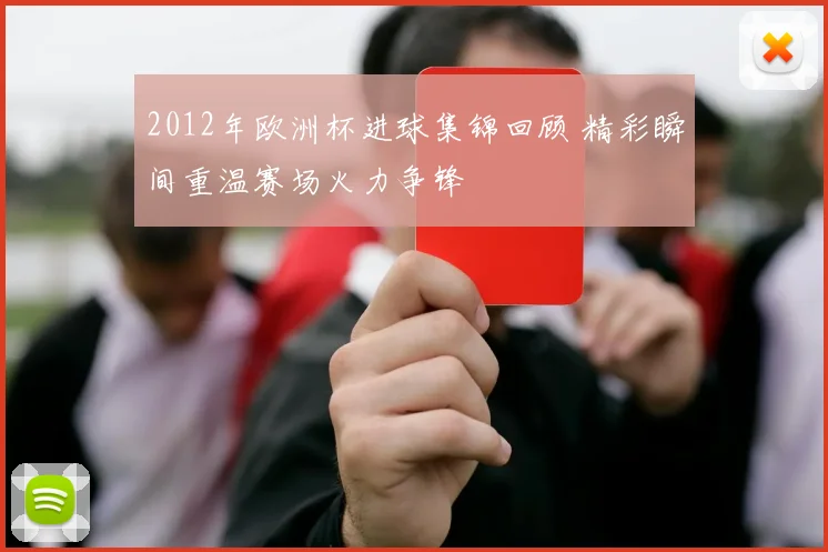 2012年欧洲杯进球集锦回顾 精彩瞬间重温赛场火力争锋