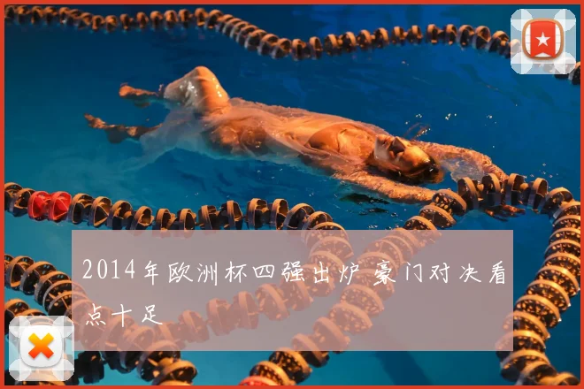 2014年欧洲杯四强出炉 豪门对决看点十足